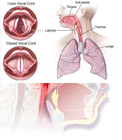 Voice-Surgery